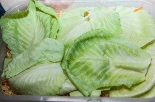 Квашеная капуста с клюквой