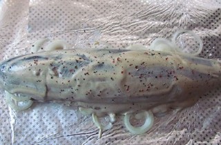 Скумбрия, запеченная с луком