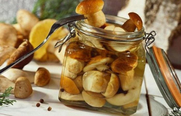 маринованные грибы на зиму в домашних условиях