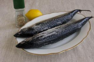 Запеченная скумбрия на костре на решетке - фото шага 1