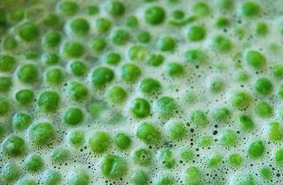 Горох с беконом - фото шага 3