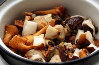 Суп из лесных грибов - фото шага 1