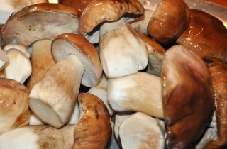 Суп из белых грибов - фото шага 1