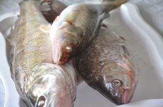 Котлеты из речной рыбы - фото шага 1