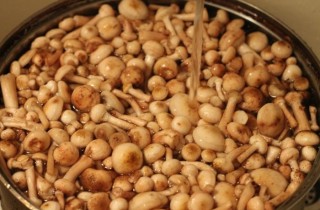 Маринованные опята - фото шага 2