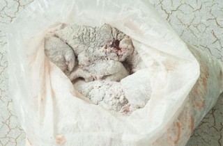 Тушеная печень - фото шага 3