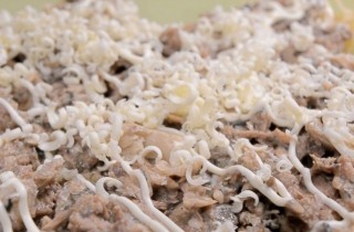 Салат Петушок - 