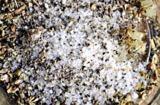 Заправка для греческого салата - фото шага 2