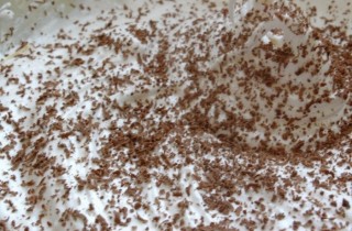 Меренги с шоколадом - фото шага 4