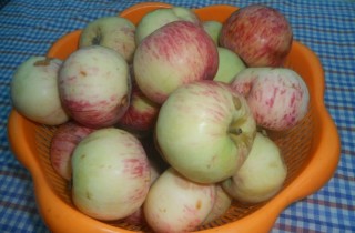 Яблочное варенье дольками - фото шага 1