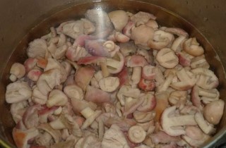 Маринованные сыроежки - фото шага 4