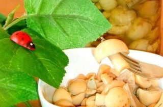 Маринованные сыроежки - фото шага 7