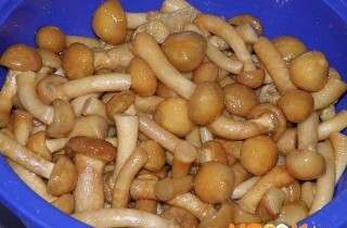 Грибной суп из опят - фото шага 5