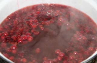Витаминный клюквенный морс - фото шага 5