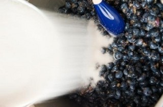 Черничный джем на зиму - фото шага 2