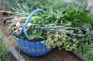 Квашеные огурчики - фото шага 2