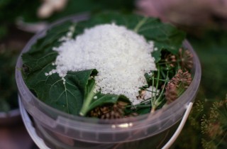 Квашеные огурчики - фото шага 8