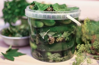 Квашеные огурчики - фото шага 9